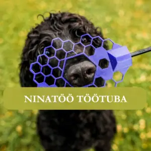 Ninatöö töötuba Keilas kodulehele (9)